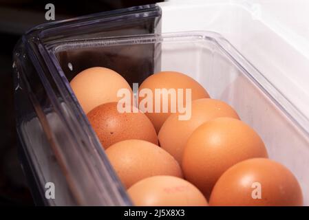 Eggs in the refrigerator arranged in rows. Low temperature storage of eggs. The structure of the shell in close-up. Stock Photo