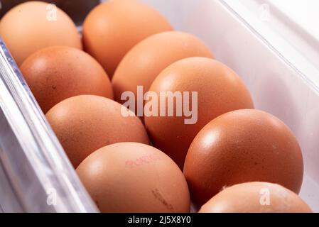 Eggs in the refrigerator arranged in rows. Low temperature storage of eggs. The structure of the shell in close-up. Stock Photo