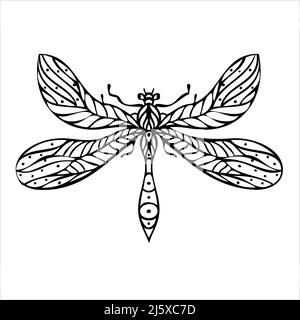 Night butterfly, moths. Hand drawn vector illustration.  Stock Vector