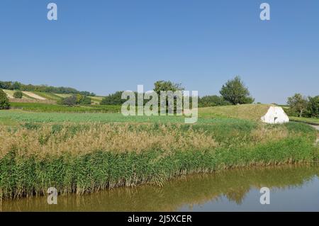 Vineyard Landscape with Wine Cellar in Prellenkirchen,lower Austria,Austria Stock Photo