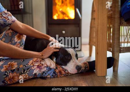 Woman petting dog on floor by fireplace Stock Photo