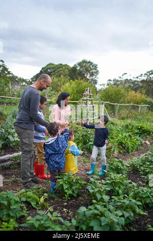Family harvesting vegetables in garden Stock Photo