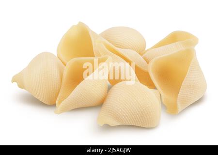 Conchiglie grandi pasta isolated on white background Stock Photo