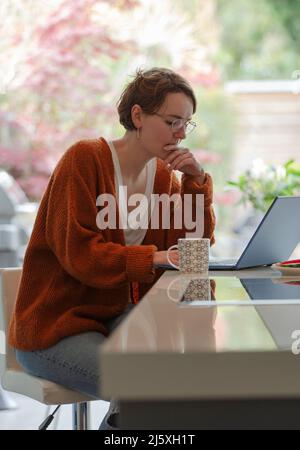 Focused young woman working from home at laptop Stock Photo
