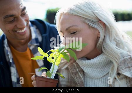 Happy couple smelling potted herb plant Stock Photo