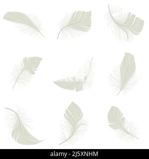 White bird wing feather decorative icons set isolated vector illustration Stock Vector