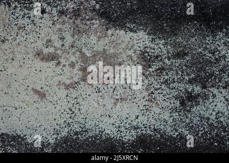 old concrete black and gray wall with mold spores in Bali, Indonesia. Background texture and wallpaper Stock Photo