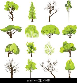 Decorative deciduous foliage and conifer forest park trees silhouette abstract design icons set sketch isolated vector illustration Stock Vector