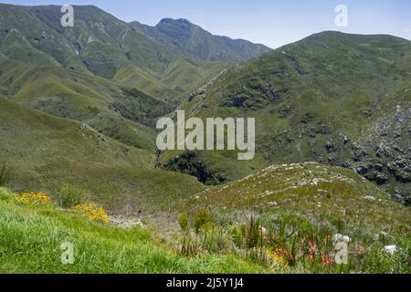 Outeniqua Pass, mountain pass that carries the N9/N12 national road through the Outeniqua Mountains north of George, Western Cape, South Africa Stock Photo