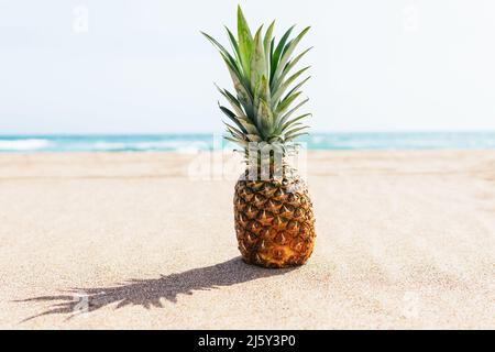 Exotic ripe pineapple with green crown placed on sandy coast near sea against cloudless blue sky in tropical resort on summer day Stock Photo
