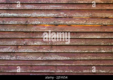 Old red grungy wooden wall with lichen on weathered boards,  background photo texture Stock Photo