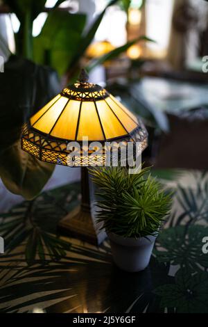 Stylish electric lamp with glowing light placed on table with green potted plants in light room on blurred background Stock Photo