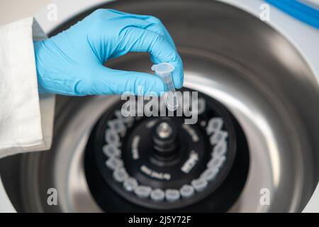 Scientist puts microcentrifuge tubes into centrifuge for phase ...