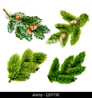 Pine tree branches with cones for chrismas decorations 4  icons set composition banner  realistic abstract vector illustration Stock Vector