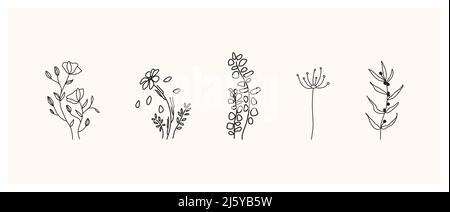 Set of herbs and wild flowers. Hand drawn floral elements. Vector ...