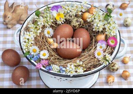 easter nest with colored eggs and spring flowers in vintage colander Stock Photo