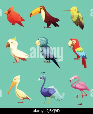 Exotic tropical paradise island birds retro cartoon style icons collection with toucan and cockatoo parrot isolate vector illustration Stock Vector