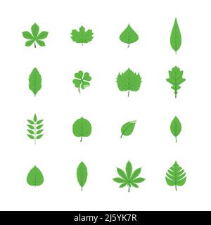 Green trees leaves flat icons set of oak aspen linden maple chestnut clover plants isolated vector illustration Stock Vector