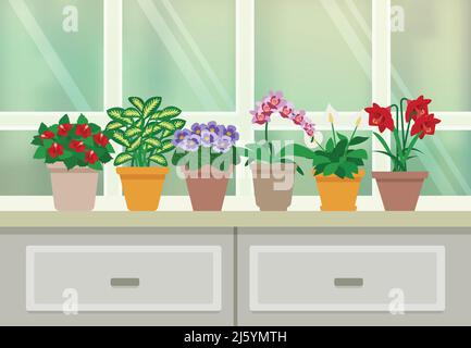 Houseplants and flowers in blossom background with window and drawers flat vector illustration Stock Vector