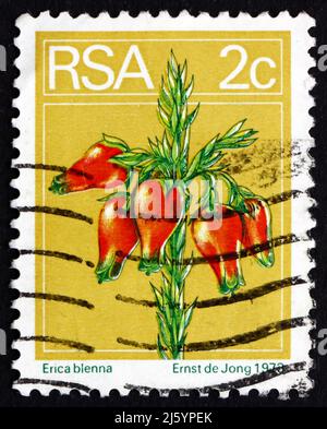SOUTH AFRICA - CIRCA 1974: a stamp printed in South Africa shows Heather, Erica Blenna, Flowering Shrub, circa 1974 Stock Photo