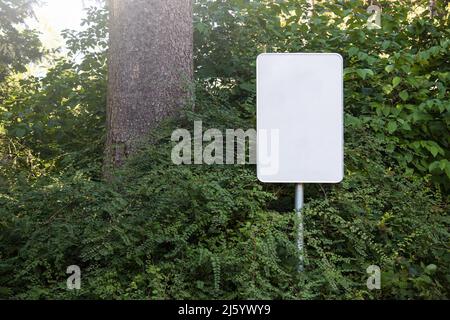 Empty blank sign board on a pole in a forest Stock Photo