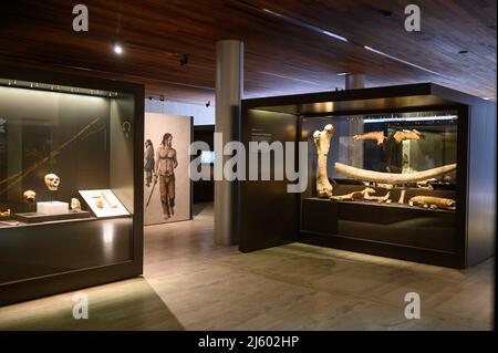 The National Archaeological Museum (MAN), which houses one of the world's most important antique collections, Madrid, Spain Stock Photo