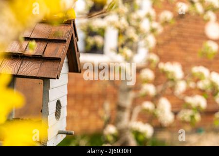 Bird feeder in shape of a little house with glass on sides to see birds eating from it. Birdhouse made out of wood in white and brown, bird house for Stock Photo