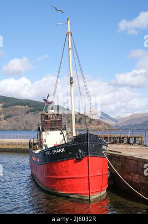 The Vital Spark former Clyde Puffer boat moored at Inveraray harbour in the Scottish highlands. A seagull flies overhead and snowcapped hills are beyo Stock Photo