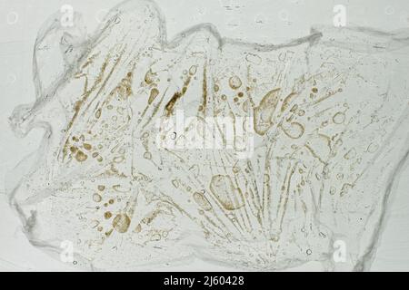 Abtract textured light background with water drops and white sand. Stock Photo