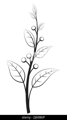 Elegant floral branch with berries. Vector illustration for your design. Stock Vector