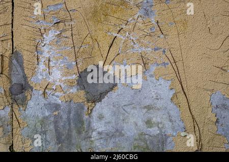 Distressed golden yellow painted concrete wall with dried brown vines attached and peeling areas of paint Stock Photo