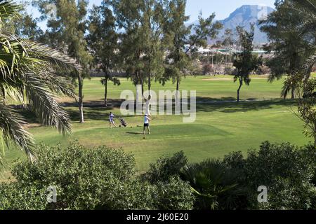 dh Golf PLAYA DE LAS AMERICA TENERIFE Women golfers teeing off ladies tee golfing together Stock Photo