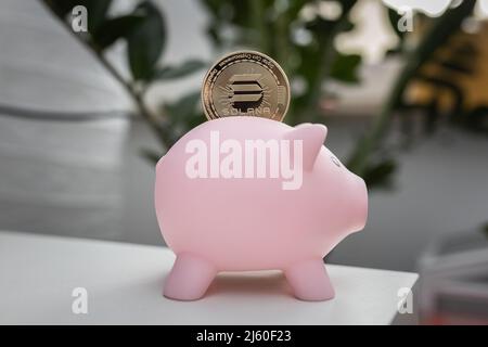 Solana SOL cryptocurrency physical coin in a piggy bank. Stock Photo