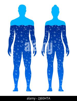 Male and female body silhouettes, filled with blue water, isolated on white background. Human body water composition vector illustration. Stock Vector