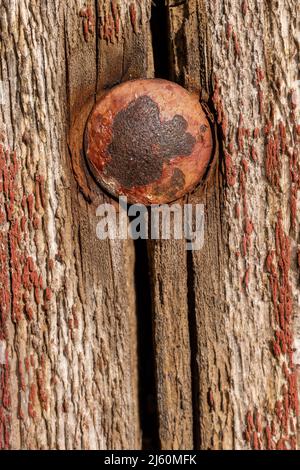 Old painted and weathered cracked wood with a rusty bolt head. Stock Photo