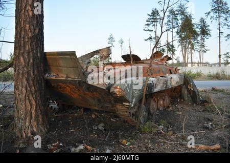Dmytrivka village, Kyiv region, Ukraine - April 14, 2022: Destroyed infantry fighting vehicle with a white painting V of the Russian army. Stock Photo