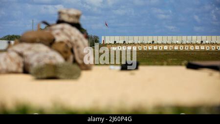 Recruits with India Company, 3rd Recruit Training Battalion, aim down range to their targets on Marine Corps Recruit Depot Parris Island, S.C., April 25, 2022. Recruits shoot at several positions and distances for evaluation and score.  (U.S. Marine Corps photo by Pfc. Ramon Cardoza) Stock Photo