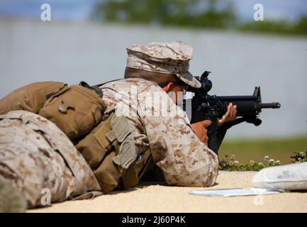 Recruits with India Company, 3rd Recruit Training Battalion, aim down range to their targets on Marine Corps Recruit Depot Parris Island, S.C., April 25, 2022. Recruits shoot at several positions and distances for evaluation and score.  (U.S. Marine Corps photo by Pfc. Ramon Cardoza) Stock Photo