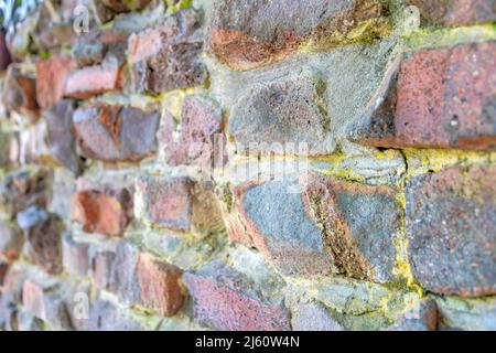 Concrete blocks wall with moss on the surface at San Francisco, California Stock Photo