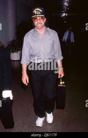 Chuck Norris 1994 Credit: Ralph Dominguez/MediaPunch Stock Photo - Alamy