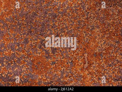 Panoramic grunge rusty metal texture, rust and oxidation metal background. Old metal iron panel. High quality photo Stock Photo