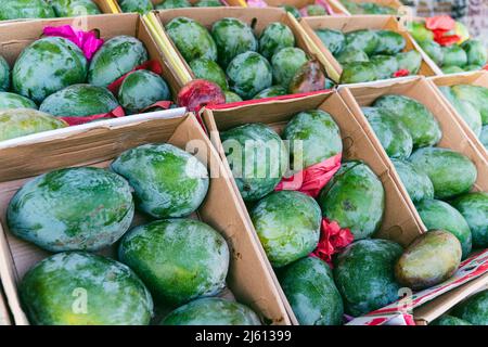 The mango seller is storing his mangoes in cardboard boxes. Stock Photo