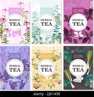 Collection of spices and meadow flowers for organic tea colored cards with title vector illustration Stock Vector