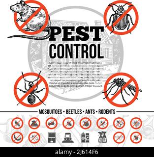 Pest control infographics with icons of insects rat and means of protection in sketch style isolated vector illustration Stock Vector