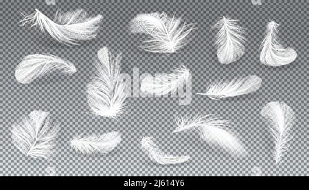 Vector 3d realistic set of white bird or angel feathers in various shapes, isolated on transparent background. Symbol of lightness, literature and poe Stock Vector