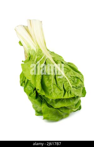 Bunch of green chard grouped together, fresh looking with water drops, isolated on white background. Vegetables background and copy space. Stock Photo