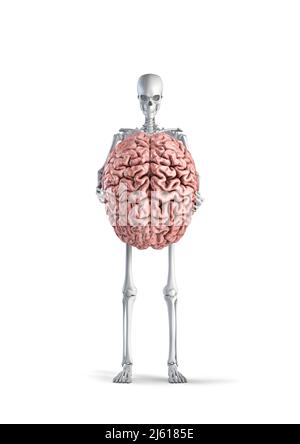 Skeleton with brain - 3D illustration of male human skeleton figure holding human brain isolated on white studio background Stock Photo