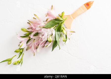 Beautiful spring flowers alstroemerieae in a composition with a brush. creative floral coloring. top view. white background Stock Photo
