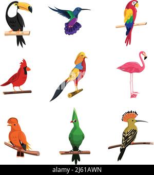 Exotic birds set with toucan parrot and flamingo isolated vector illustration Stock Vector