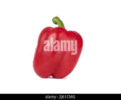Drops of water on a pod of red sweet pepper on a white background. Copy space. Stock Photo
